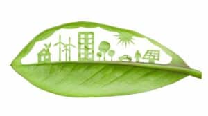 Lees meer over het artikel Duurzaam leven: Top vijf stappen om je CO2-voetafdruk te verkleinen