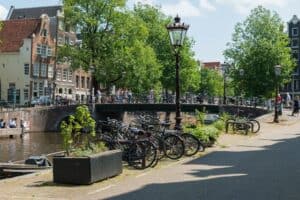 Lees meer over het artikel Waar moet je op letten bij het kopen van een fietsaccu?